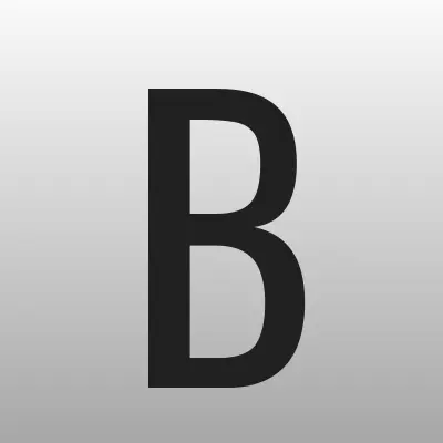 Боевое братство, Всероссийская общественная организация ветеранов, лого-визитка