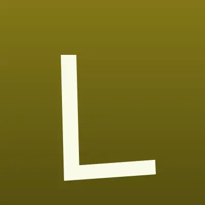 LS Networks, представительство в г. Владивостоке, лого-визитка
