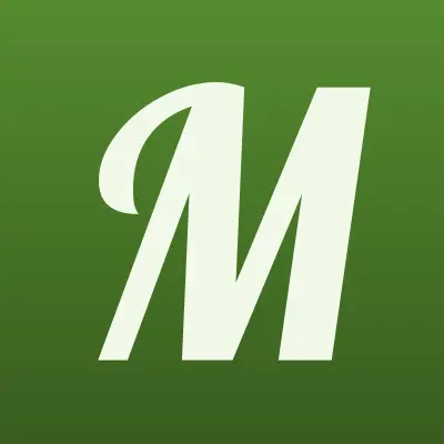 Мистер Т
